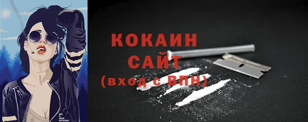 дмт Абаза