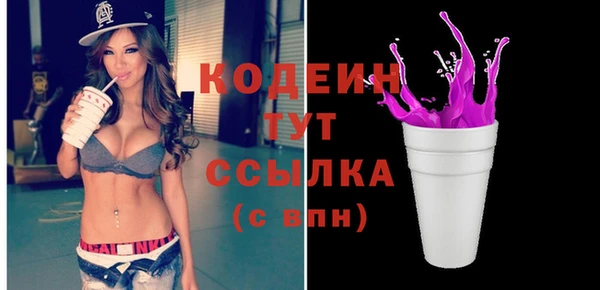 дмт Абаза