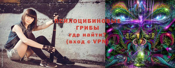 дмт Абаза