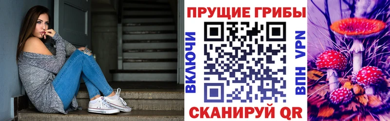 Галлюциногенные грибы Magic Shrooms  Томилино 